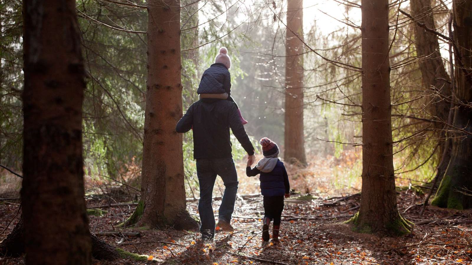 Bedsteforælder og børnebørn går i skoven