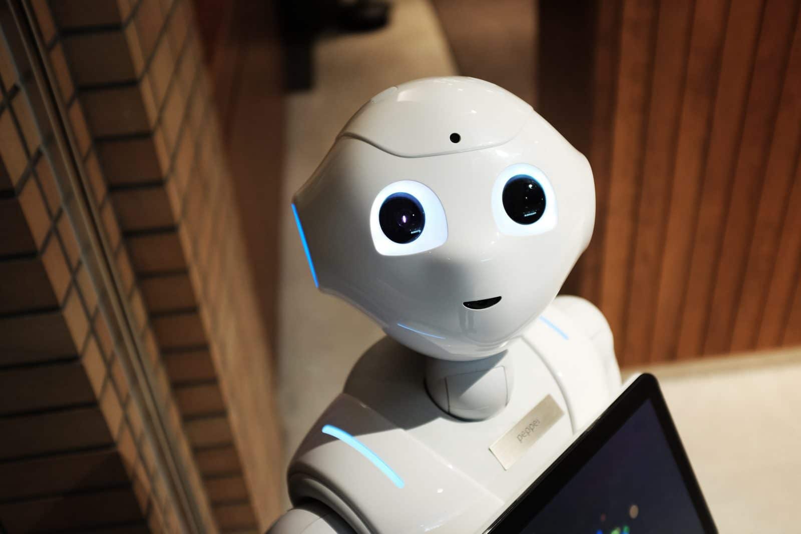 Hvid robot med store øjne kigger op på kameraet.
