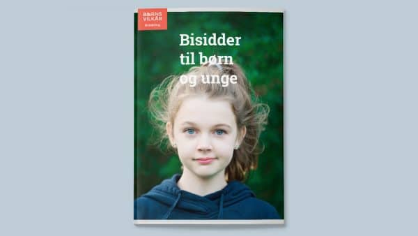 Børns Vilkårs bisidderordning