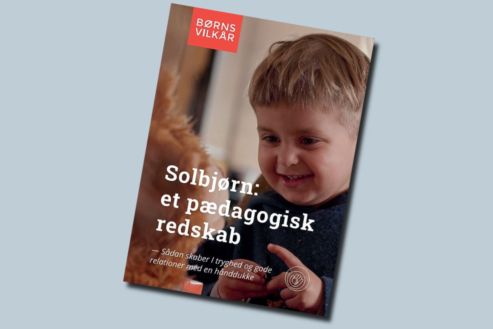 Forside for vejledning til Solbjørn