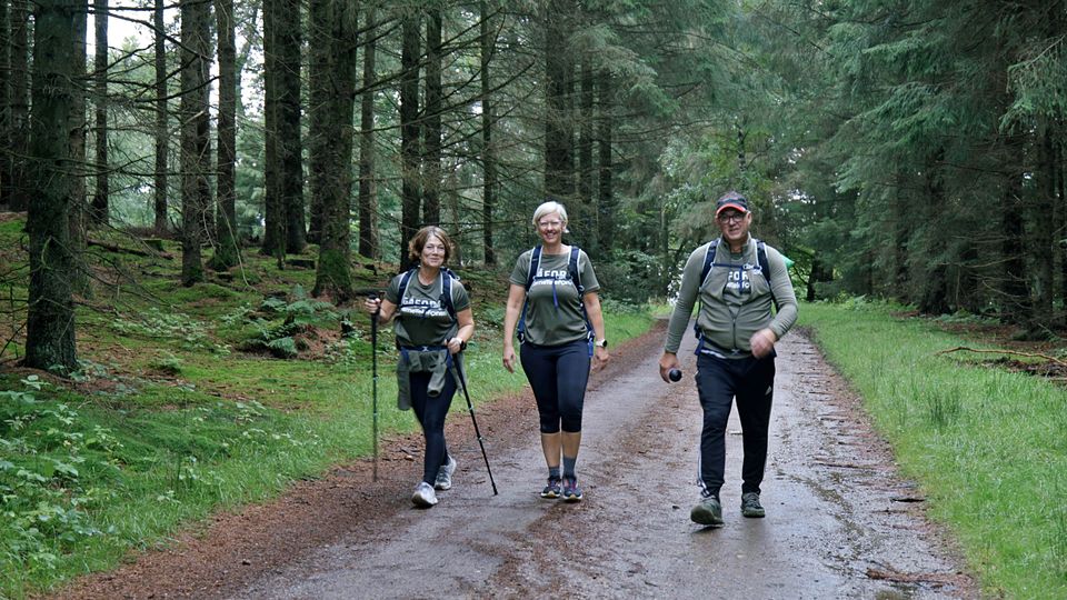 Tre voksne går ude i en skov