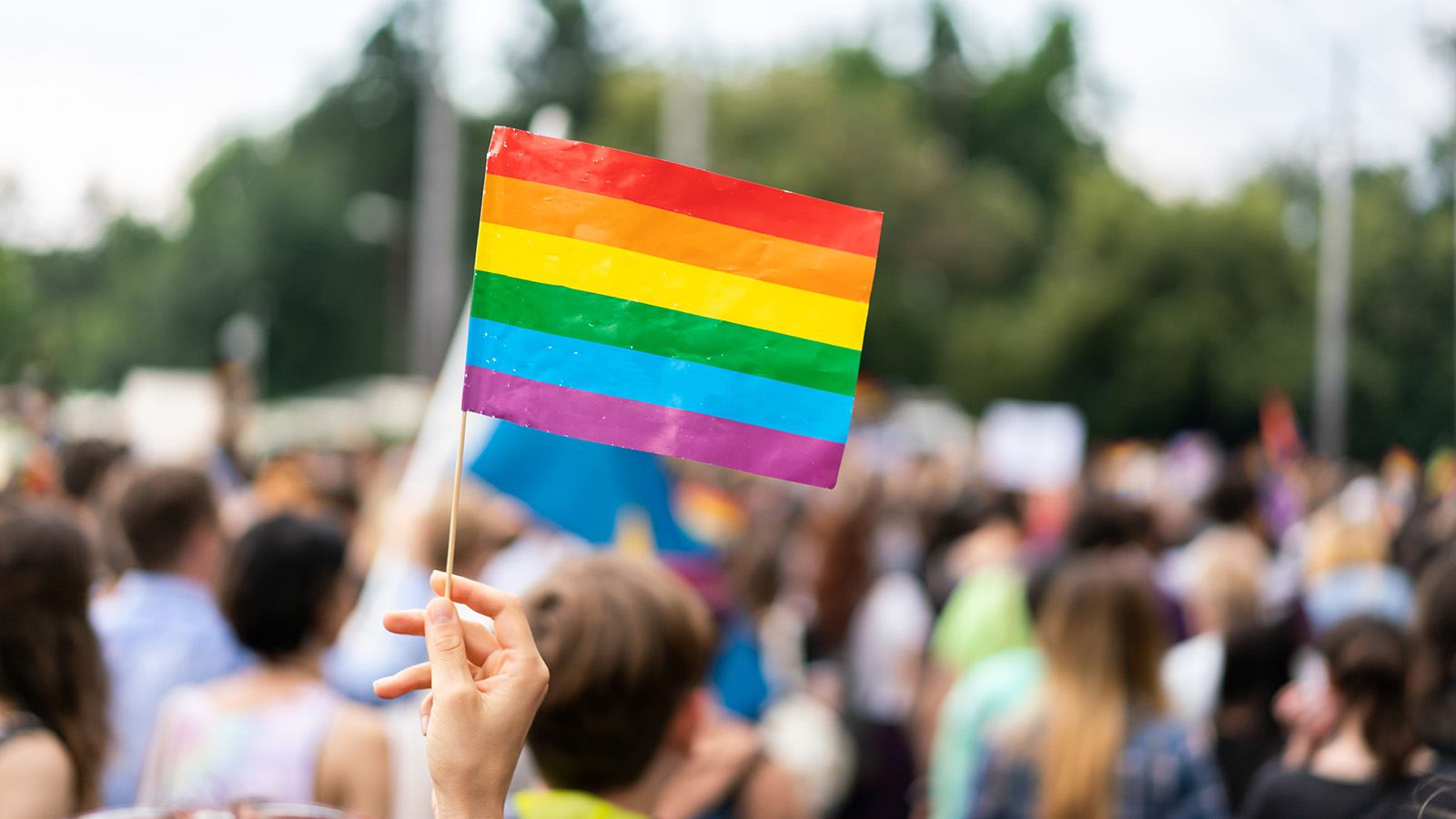 En hånd holder et pride-flag op i en menneskemængde