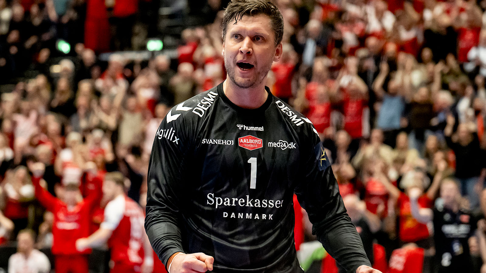 Billede af Niklas Landin